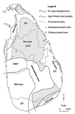 Rural Consumer Preferences for Inland Fish and Their Substitutes in the Dry-Zone of Sri Lanka and Implications for Aquaculture Development